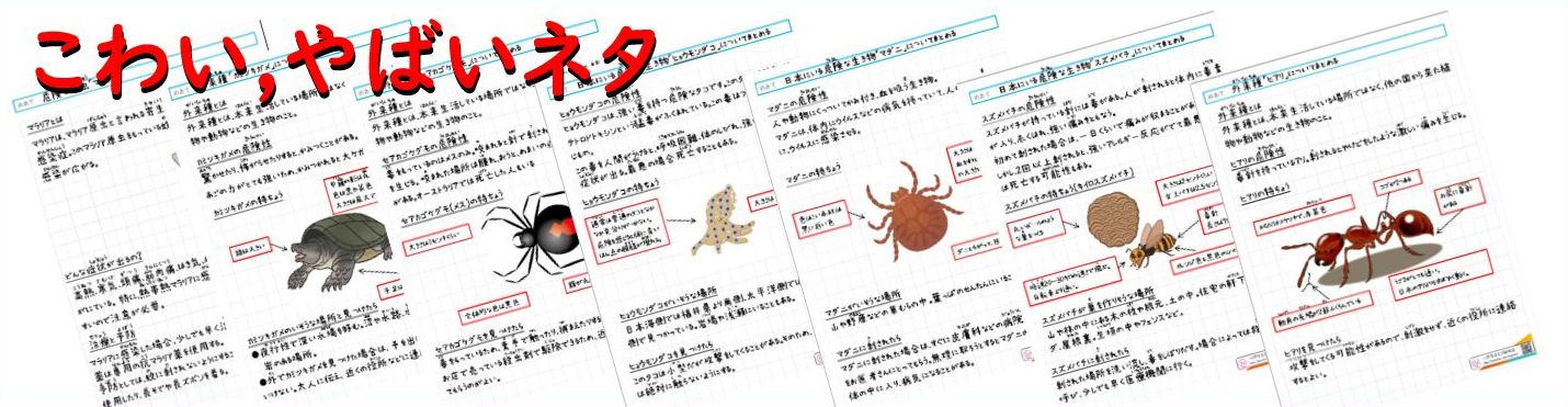 小学４〜６年向け 学習教材＆ノートの書き方｜ちょっとこわい（サバイバル系）の自学ノートのタイトル