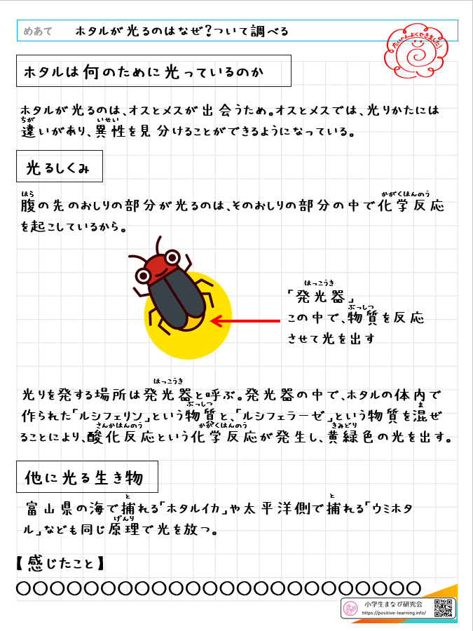 自主学習ノート理科：【5,6年】ホタルが光るのはなぜ？