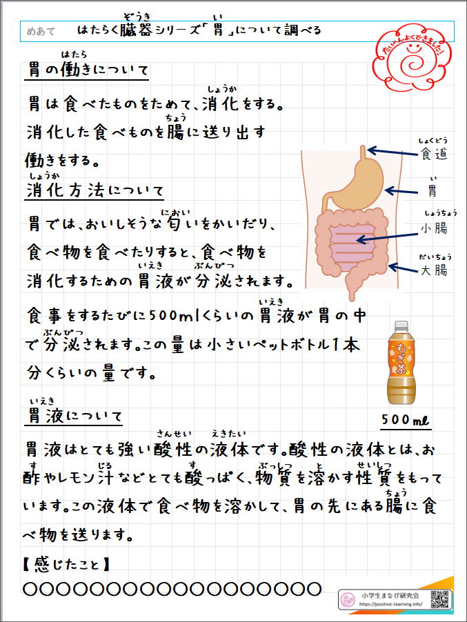 自主学習ノート理科：【6年】「はたらく臓器」胃