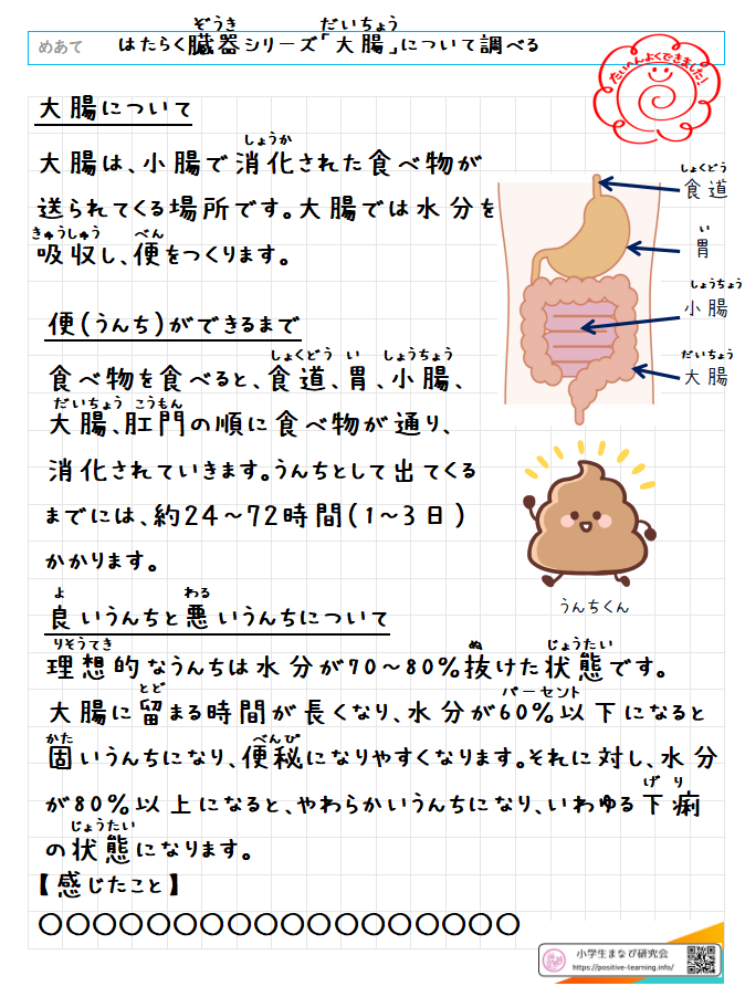 自主学習ノート理科：【6年】「はたらく臓器」大腸