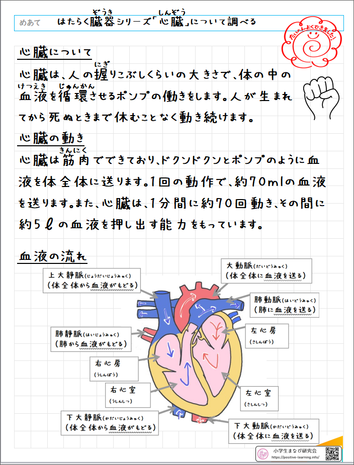 自主学習ノート理科：【6年】「はたらく臓器」心臓