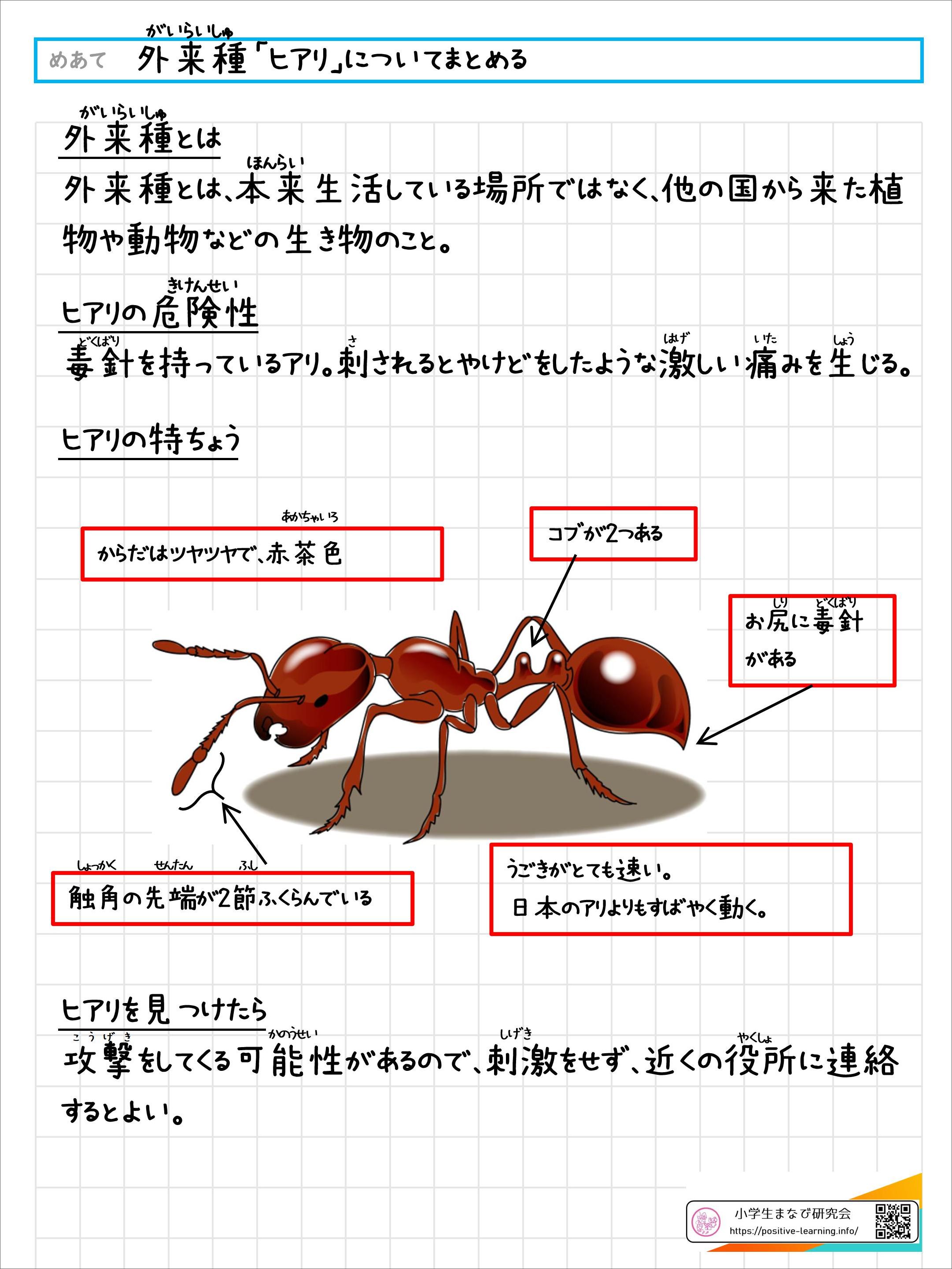 自主学習ノート：外来種「ヒアリ」