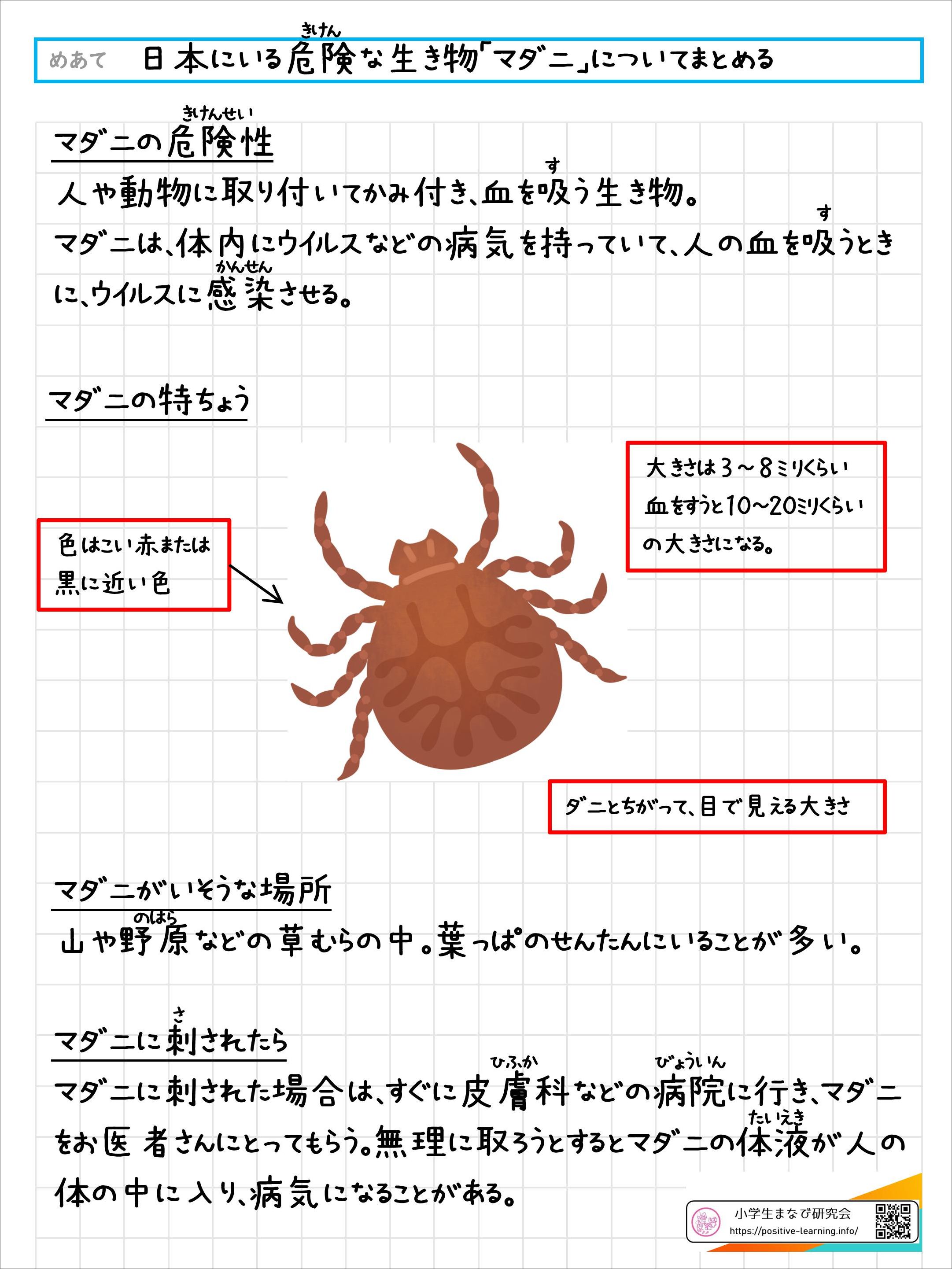 日本にいる危険な生き物「マダニ」