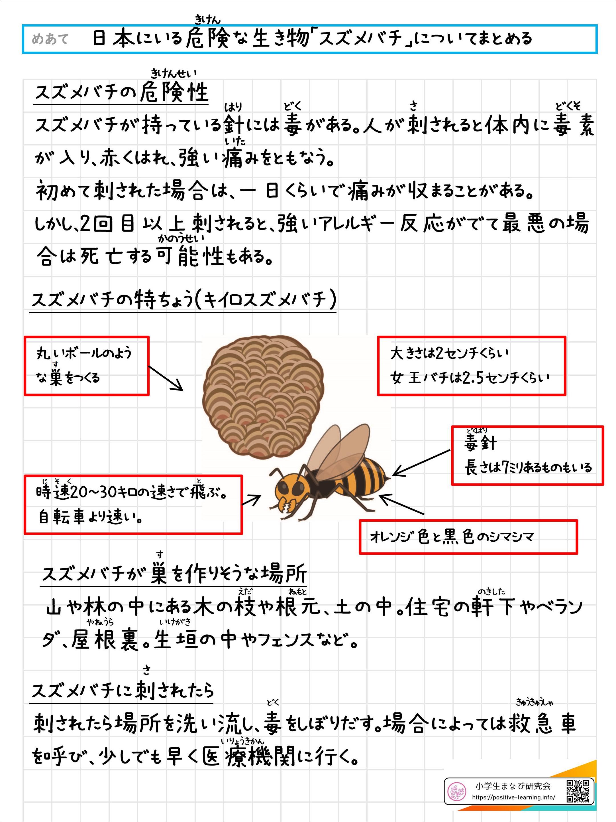 日本にいる危険な生き物「スズメバチ」