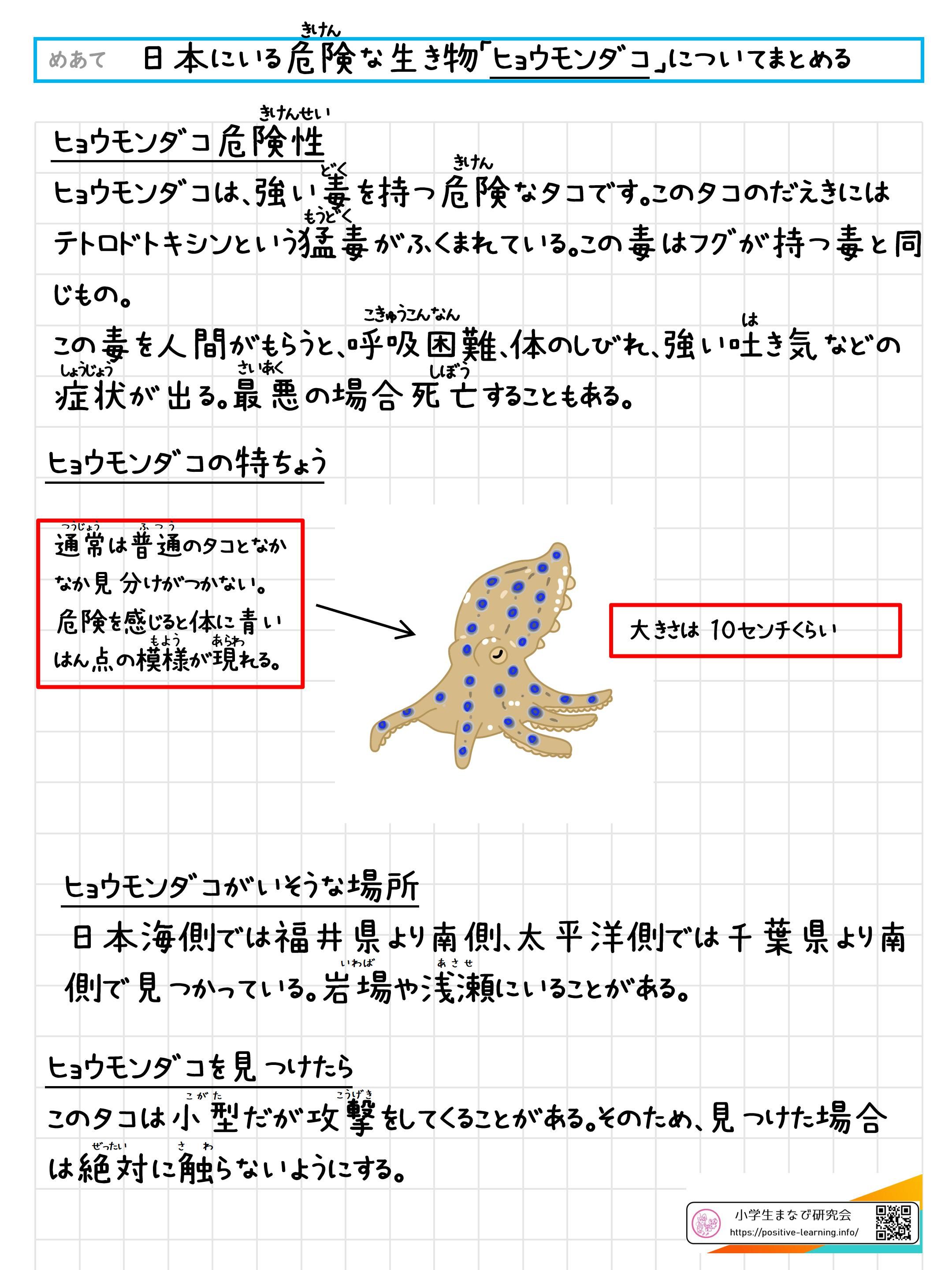 日本にいる危険な生き物「ヒョウモンダコ」