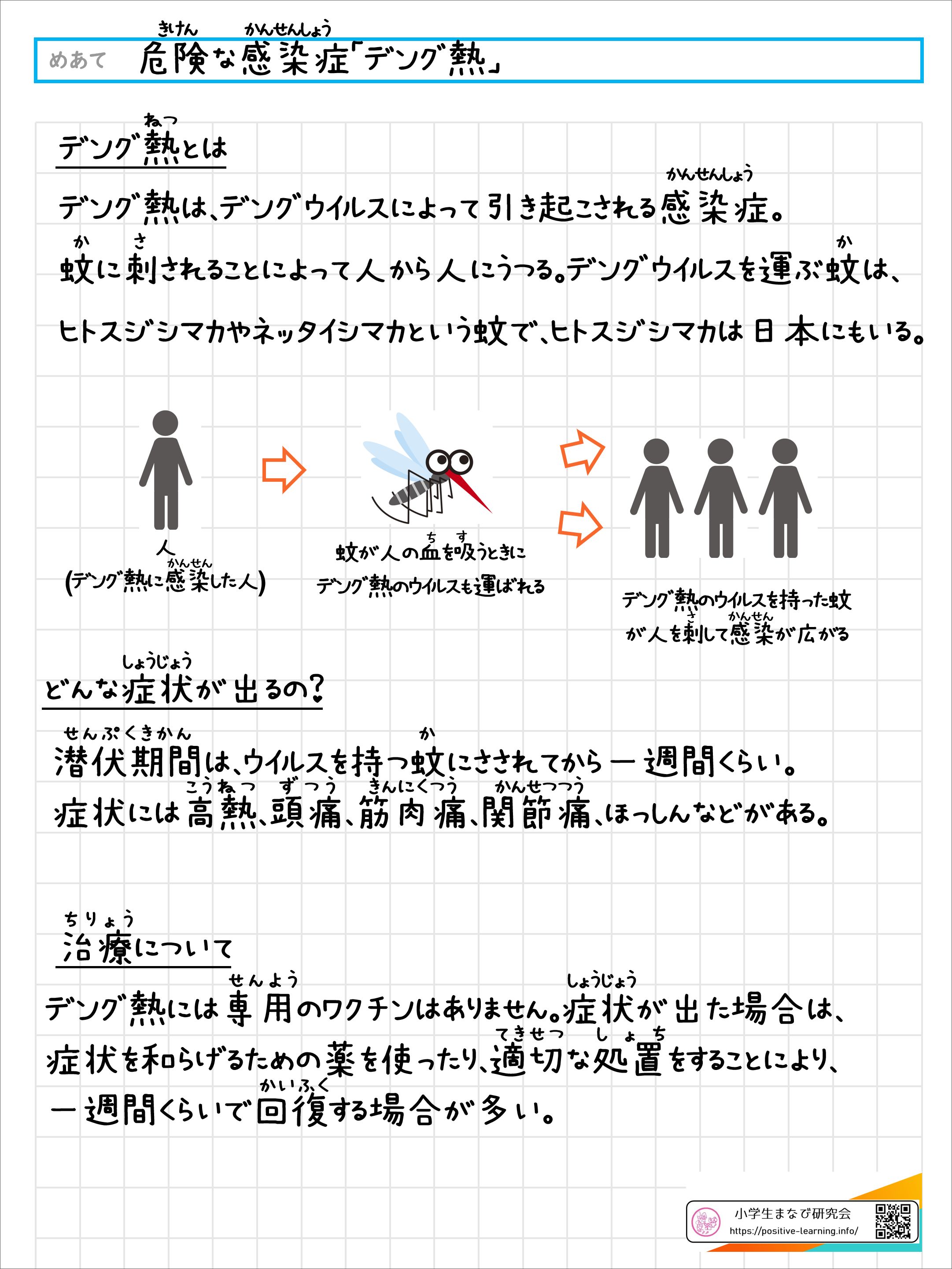 危険な感染症「デング熱」
		