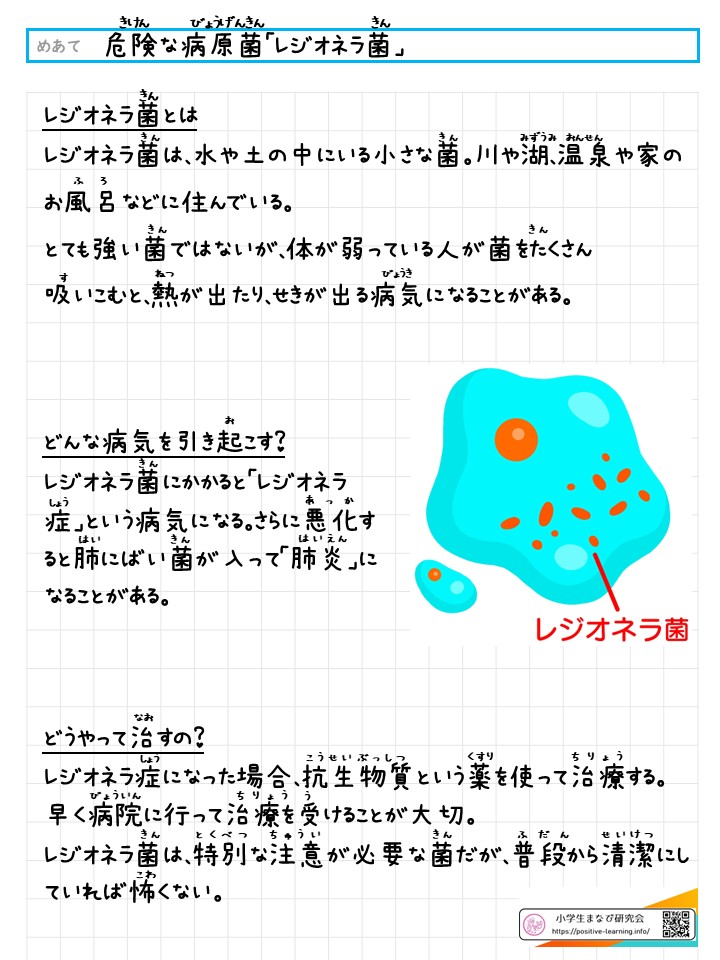 危険な有害物質「ダイオキシン」
		